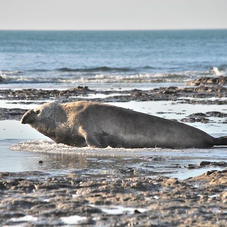 ホテルFaro Punta Delgada エクステリア 写真