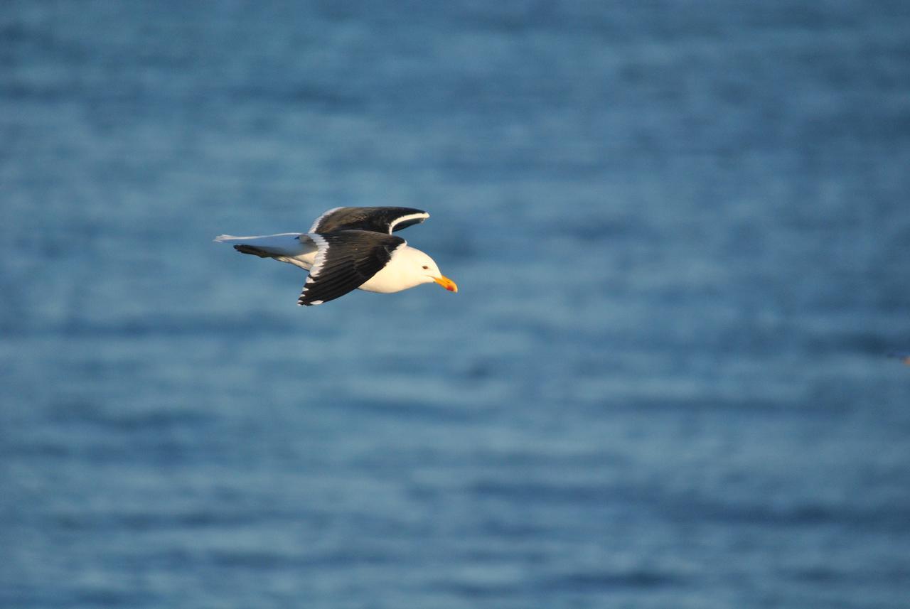 ホテルFaro Punta Delgada エクステリア 写真