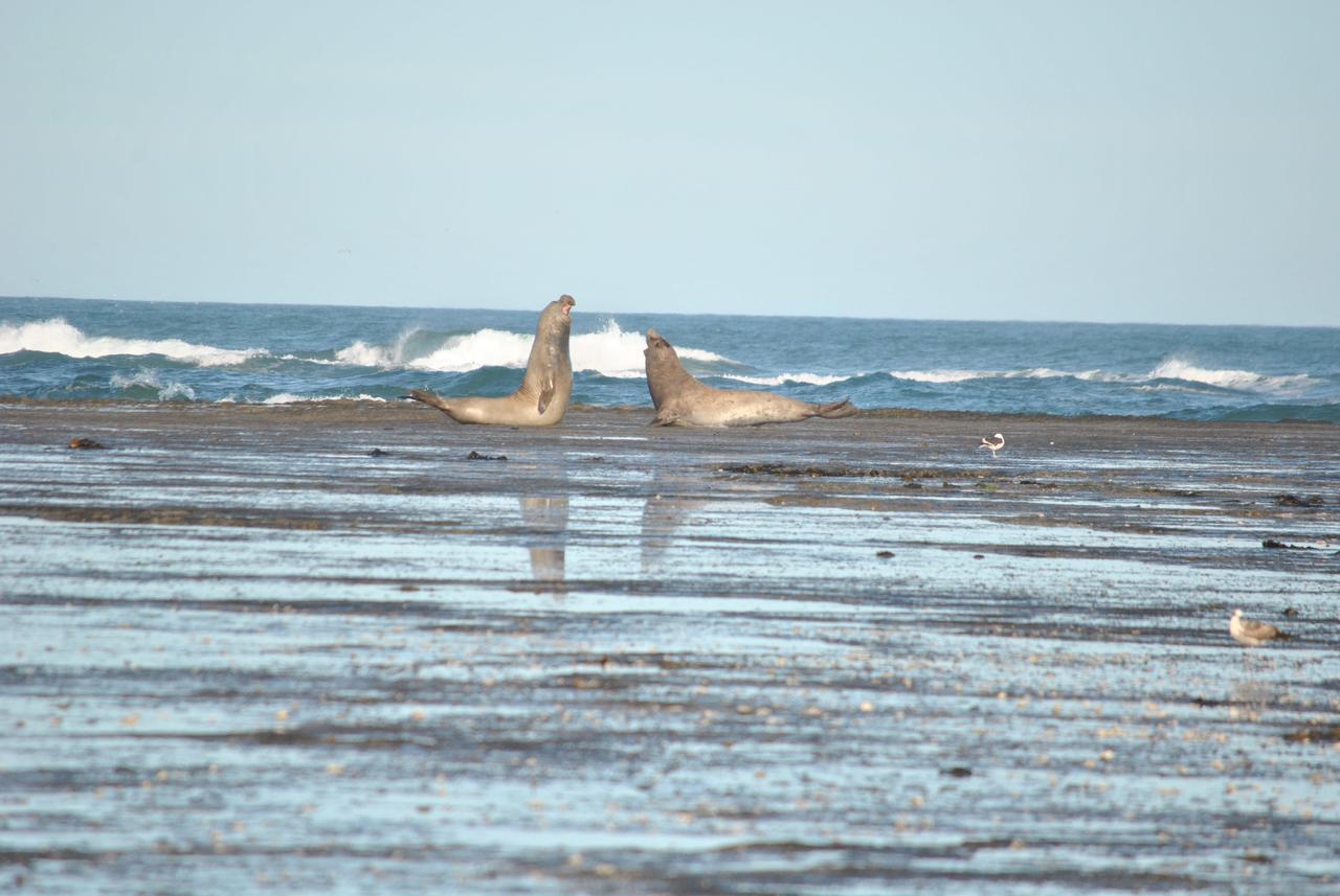 ホテルFaro Punta Delgada エクステリア 写真