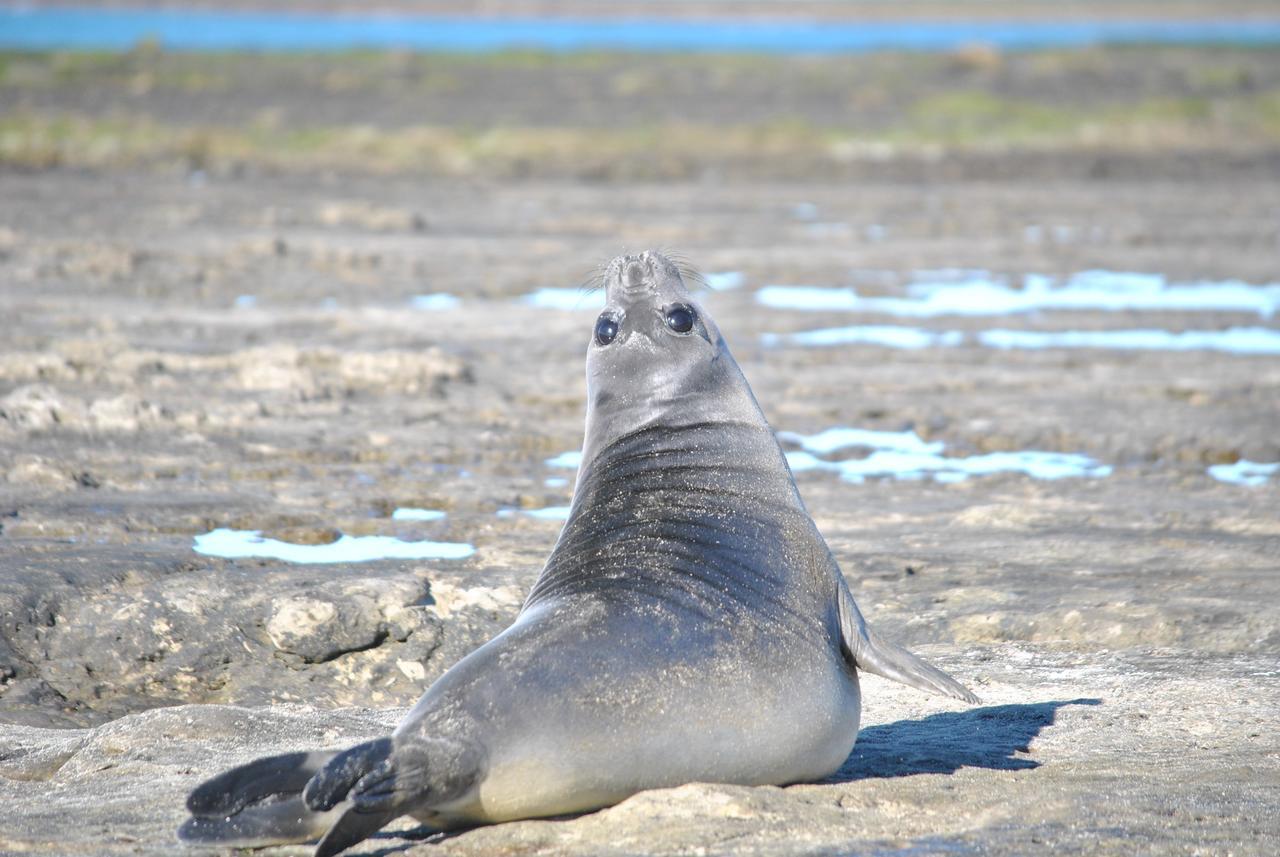 ホテルFaro Punta Delgada エクステリア 写真